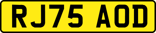 RJ75AOD