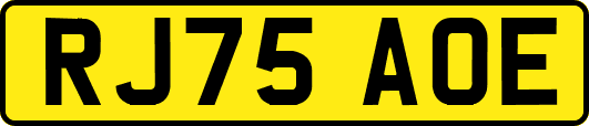 RJ75AOE