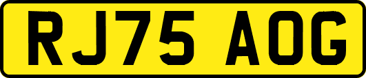 RJ75AOG