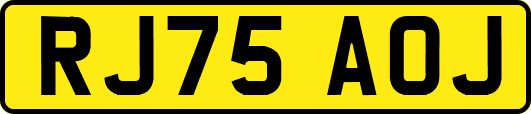 RJ75AOJ