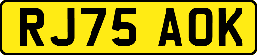 RJ75AOK