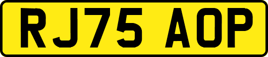 RJ75AOP