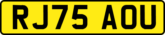 RJ75AOU