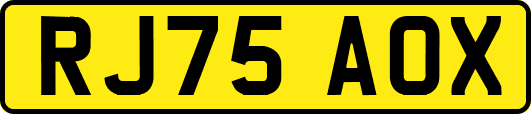 RJ75AOX