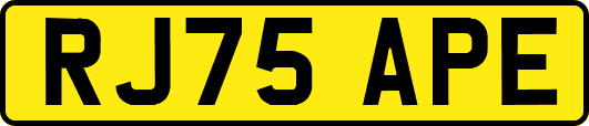 RJ75APE