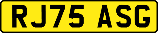 RJ75ASG
