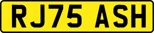 RJ75ASH