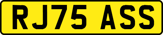 RJ75ASS