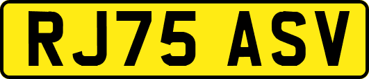RJ75ASV