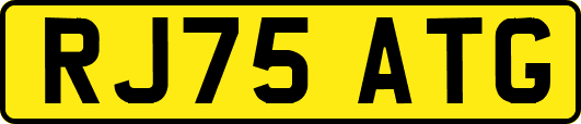 RJ75ATG