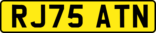 RJ75ATN