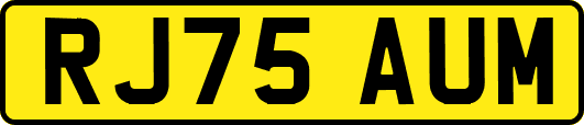 RJ75AUM