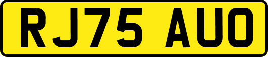 RJ75AUO