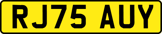 RJ75AUY