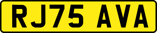 RJ75AVA