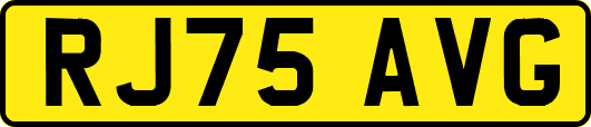 RJ75AVG