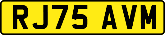 RJ75AVM