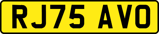 RJ75AVO