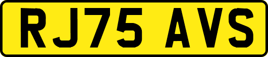 RJ75AVS