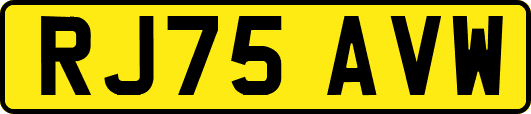 RJ75AVW