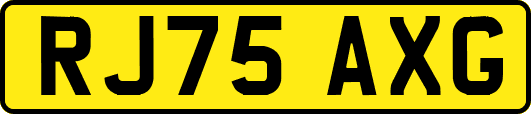 RJ75AXG