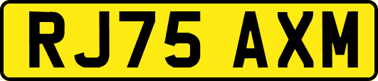 RJ75AXM