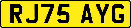 RJ75AYG