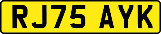 RJ75AYK