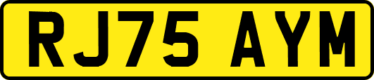 RJ75AYM