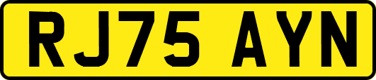 RJ75AYN