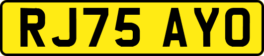 RJ75AYO