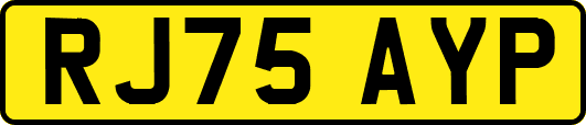 RJ75AYP