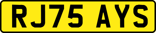 RJ75AYS