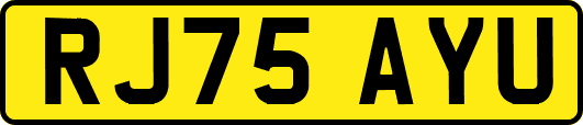 RJ75AYU
