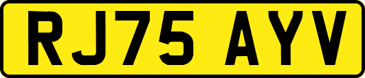 RJ75AYV