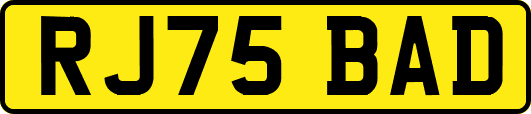RJ75BAD