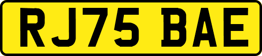 RJ75BAE
