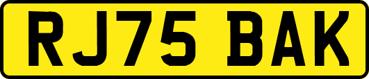 RJ75BAK