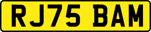RJ75BAM