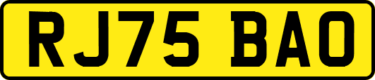 RJ75BAO