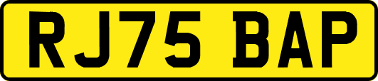 RJ75BAP