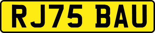 RJ75BAU