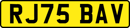 RJ75BAV
