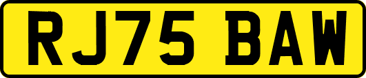 RJ75BAW