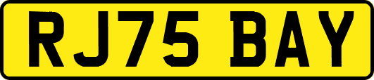 RJ75BAY