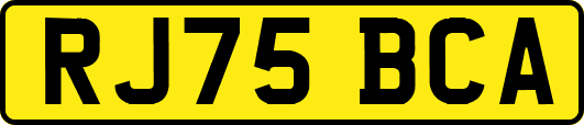 RJ75BCA
