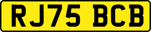 RJ75BCB