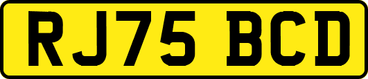 RJ75BCD
