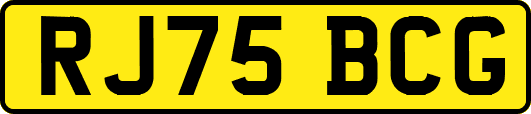 RJ75BCG