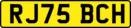 RJ75BCH